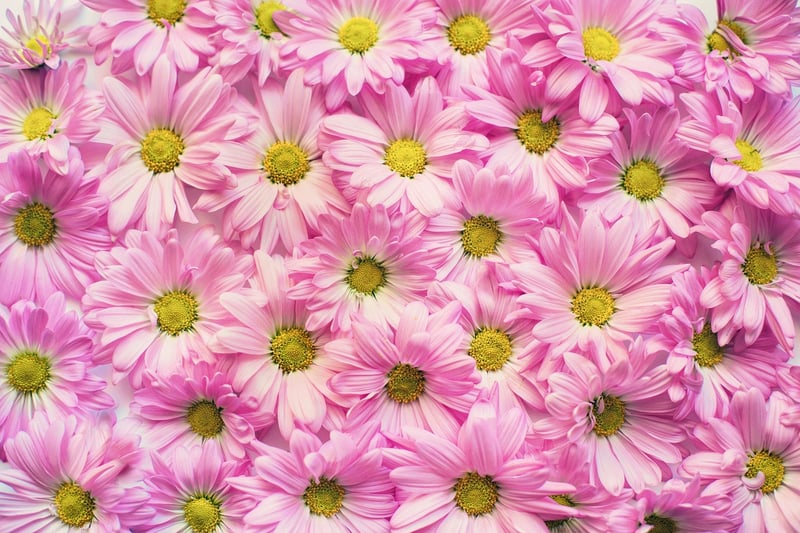 Planting Calendar